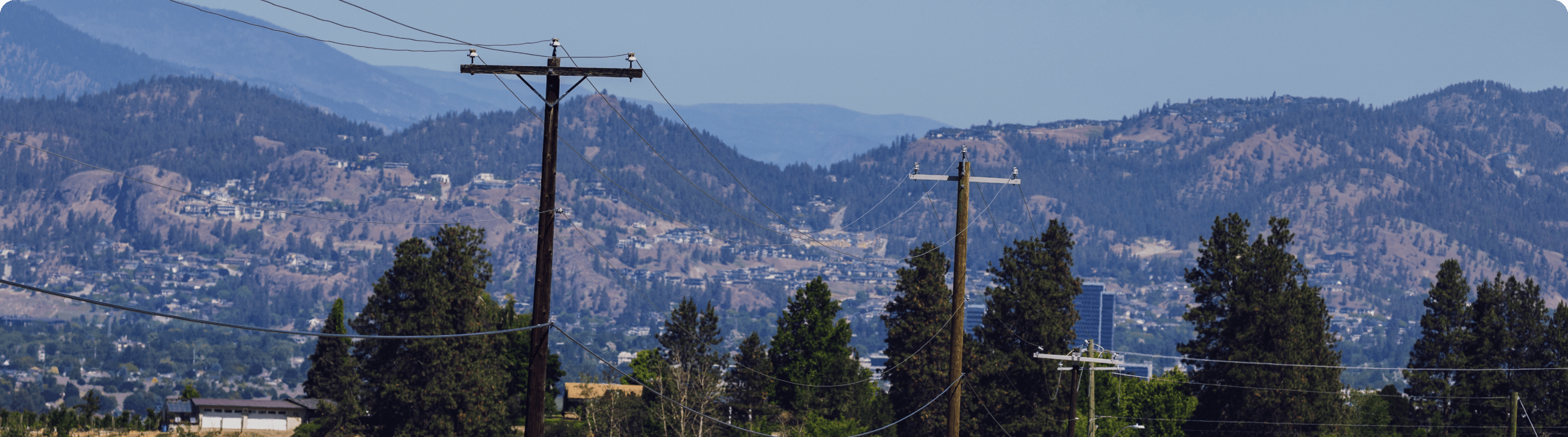 FourthQuarter2023EarningsIMG Power lines and pine trees with mountains in the background