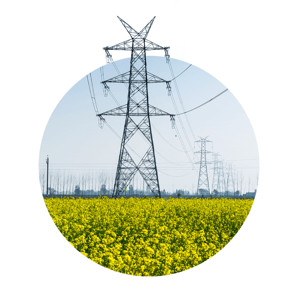 Financial-Performance-2-2 1 Transmission towers in a field with yellow flowers
